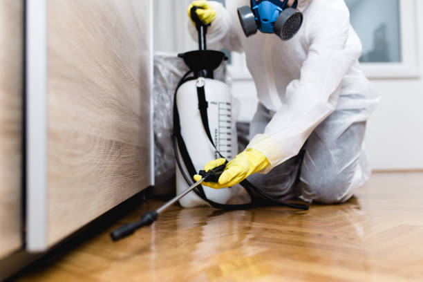 Best Cockroach Control Services  in Saint Johns University, MN