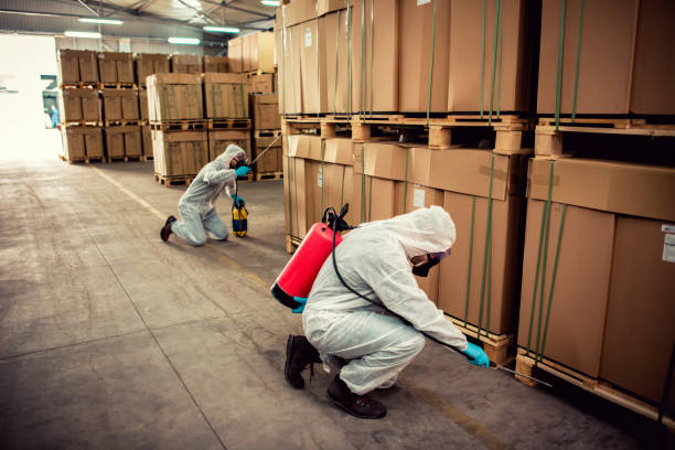 Best Best Pest Control Companies  in Saint Johns University, MN