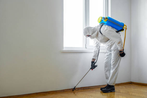 Professional Pest Control in Saint Johns University, MN