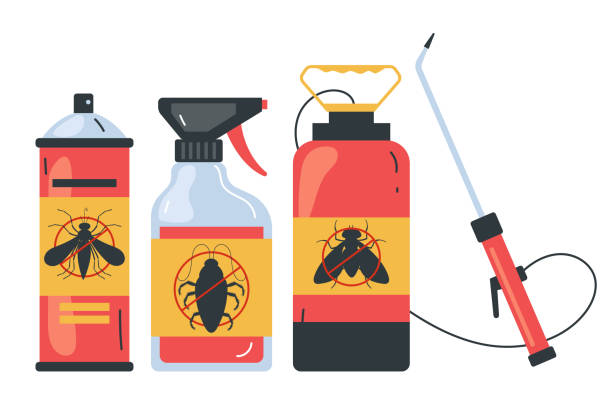 Best Ant Control Services  in Saint Johns University, MN